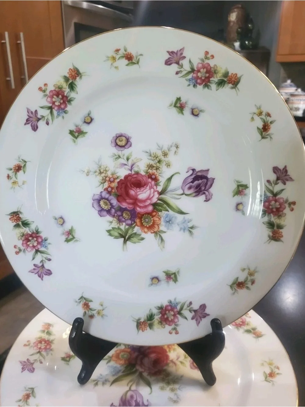 Vintage Harmony House Dresdania China.  4 10” Dinner Plates